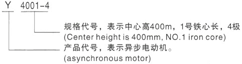 西安泰富西玛Y系列(H355-1000)高压深圳三相异步电机型号说明